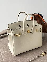 Hermes Birkin 25 Bag White Gold Togo 25cm - 2