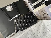 Chanel Vintage Camera Bag Black 18cm - 5