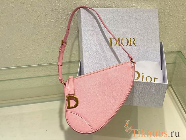 Dior Saddle Shoulder Pouch Pink Goatskin 20 x 15 x 4 cm - 1