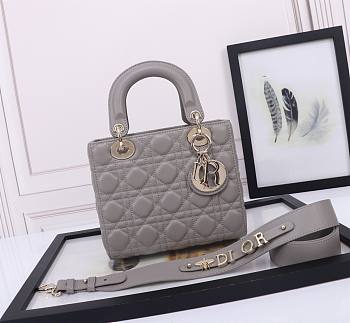 Dior Small Lady Bag Grey Gold 20cm