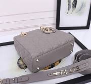 Dior Small Lady Bag Grey Gold 20cm - 6