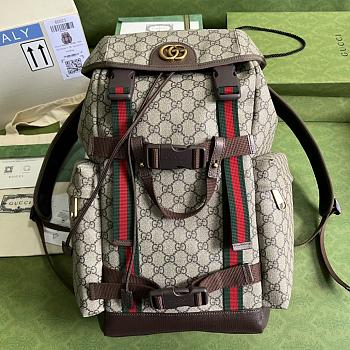 Gucci Backpack Brown Beige 34x42x16cm