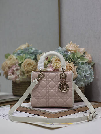 Dior Small Lady Bag Two-Tone Latte Powder Pink 20cm