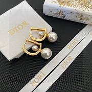Dior Gold Earrings - 1