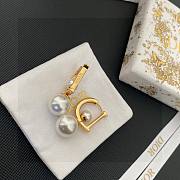 Dior Gold Earrings - 2