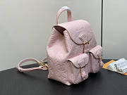 Louis Vuitton LV Backpack Backup Pink 20 x 22 x 14 cm - 4