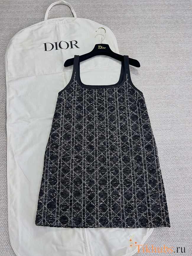 Dior Dress 003 - 1