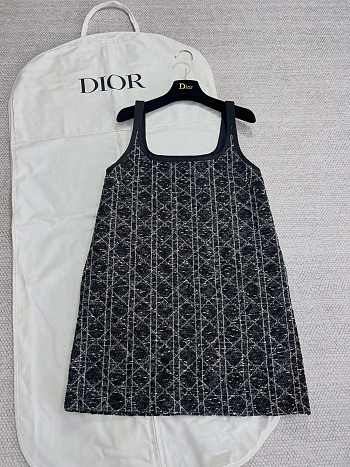 Dior Dress 003