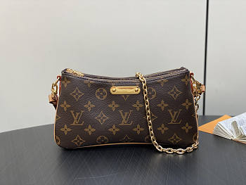 Louis Vuitton LV Liv Pochette Monogram 24x13x6cm