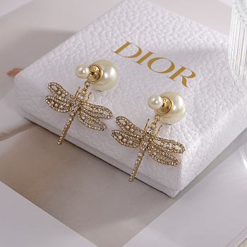 Dior Earrings 04