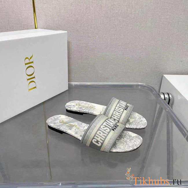 Dior Dway Slide Gray Toile de Jouy  - 1