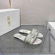 Dior Dway Slide Gray Toile de Jouy  - 1