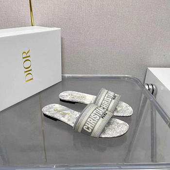 Dior Dway Slide Gray Toile de Jouy 