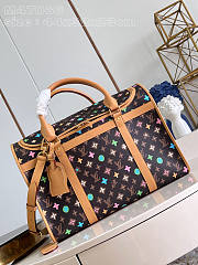 Louis Vuitton LV Dog Bag Chocolate Brown 44 x 32 x 23 cm - 1
