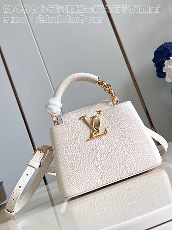 Louis Vuitton LV Mini Capucines White 21x14x8cm