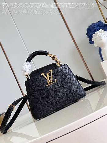 Louis Vuitton LV Mini Capucines Black 21x14x8cm
