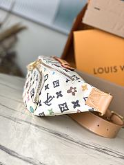 Louis Vuitton LV Rush Bumbag Vanilla 30 x 15 x 8 cm - 4