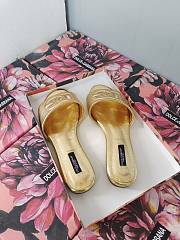 DG Gold Slides - 2