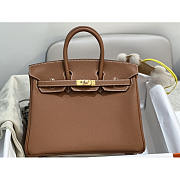 Hermes Birkin 25 Togo Bag Gold Brown 25cm - 1