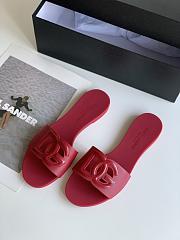 DG Red Slides - 4