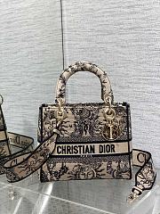 Dior Medium Lady D-Lite Bag Beige Black Soleil 24 x 20 x 11 cm - 1