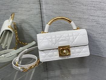 Dior Ange Bag White Gold 20x12x5cm