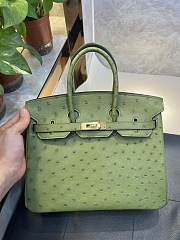 Hermes Birkin 25 Bag Green Ostrich Gold 25cm - 1