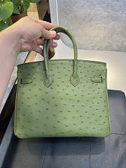 Hermes Birkin 25 Bag Green Ostrich Gold 25cm - 3