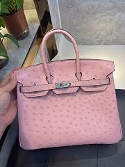 Hermes Birkin 25 Bag Pink Ostrich Gold 25cm - 1