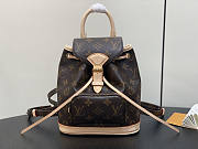 Louis Vuitton LV Montsouris Mini Monogram 24 x 25 x 12 cm - 1