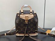 Louis Vuitton LV Montsouris Mini Monogram 24 x 25 x 12 cm - 4