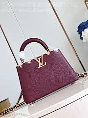 Louis Vuitton LV Capucines BB Red Wine Bag 27cm - 1