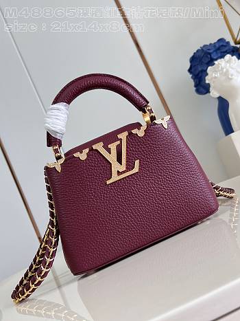 Louis Vuitton LV Mini Capucines Red Bag 21cm