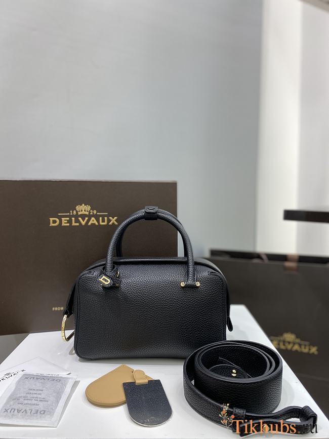 Delvaux Mini Cool Box Black Bag 22cm - 1