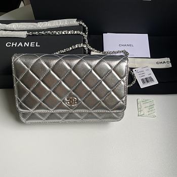 Chanel Wallet On Chain Woc Silver Lambskin 19cm