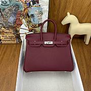 Hermes Birkin 25 Red Wine Silver Togo 25cm - 1