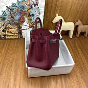 Hermes Birkin 25 Red Wine Silver Togo 25cm - 3