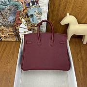 Hermes Birkin 25 Red Wine Silver Togo 25cm - 4