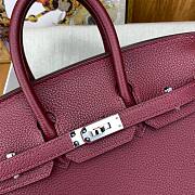 Hermes Birkin 25 Red Wine Silver Togo 25cm - 5