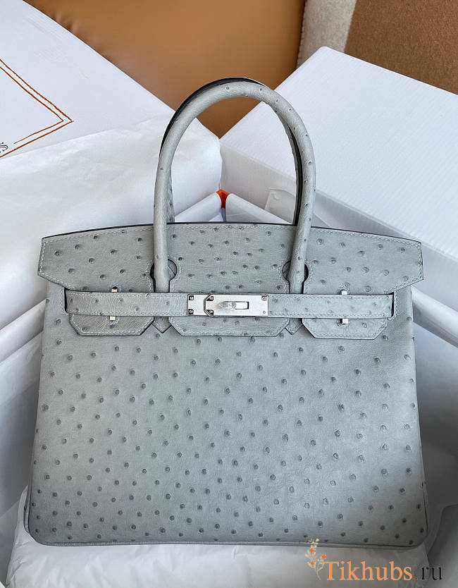 Hermes Birkin 30 Bag Ostrich Grey Silver 30cm - 1