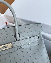 Hermes Birkin 30 Bag Ostrich Grey Silver 30cm - 2