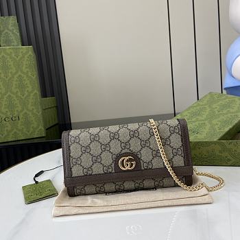 Gucci Ophidia Chain Wallet Beige 19x10x3.5cm