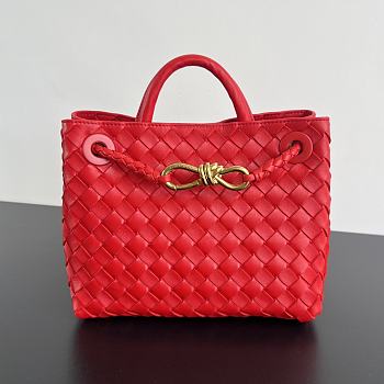 Bottega Veneta Small Andiamo Red 25x22x10.5cm
