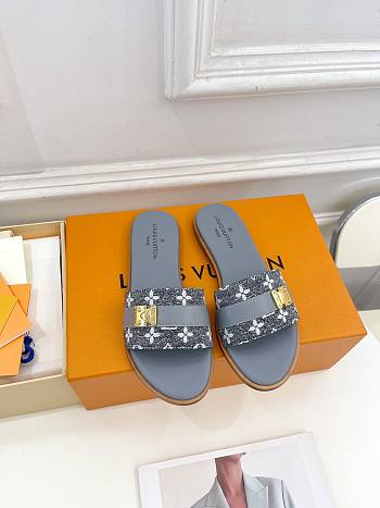 Louis Vuitton LV Grey Slides