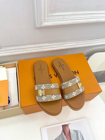 Louis Vuitton LV Brown Slides