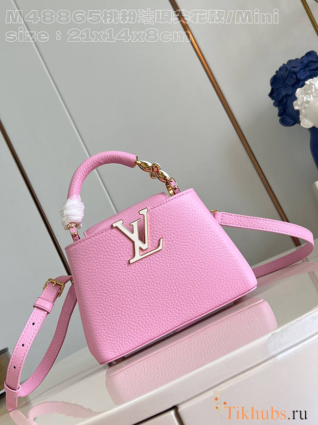 Louis Vuitton LV Mini Capucines Pink Bag 21cm - 1