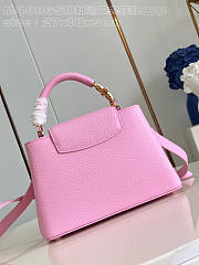 Louis Vuitton LV Capucines Bag BB Pink 27cm - 6