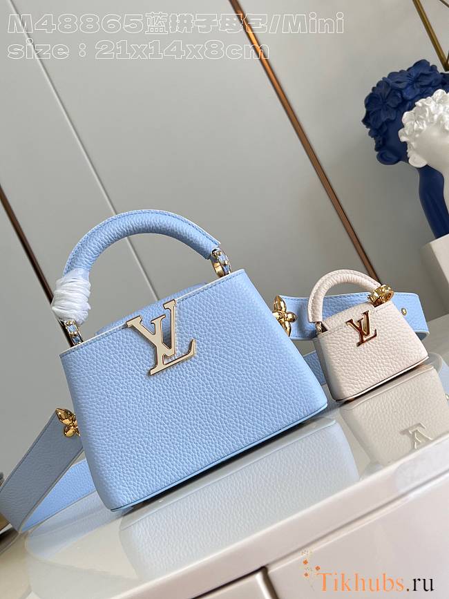 Louis Vuitton LV Capucines Mini Blue Cutie Accessory 21 x 14 x 8 cm - 1