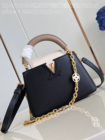 Louis Vuitton LV Mini Capucines Black Cream Gray 21x14x8cm