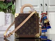 Louis Vuitton LV Leopard Mini Square Trunk Bag 17 x 17 x 8 cm - 3